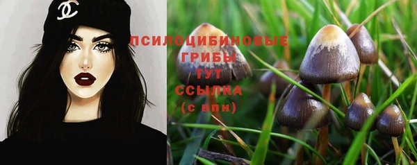 таблы Алексин