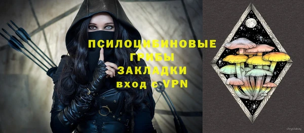 хмурый Алексеевка